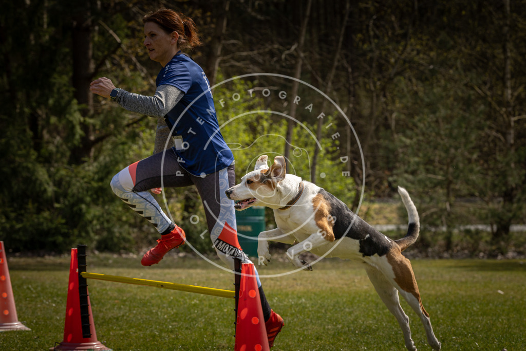 Pfotenfotografie_DV3A3635 | Hundefotografie, Tierfotograf, Pfotenfotografie, Fotoshooting Hund, Hunde Portrait, Hundesport, Hundeportraits, Heideshooting, Hunde, Sportfotograf, Hundefotograf, Turnierhundsport, THS,  - Realisiert mit Pictrs.com