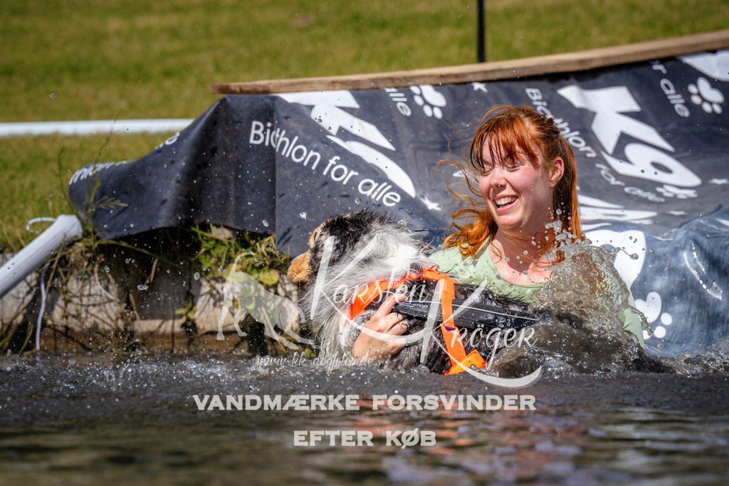 _ZZ973181025 | kk-dogfotos