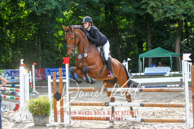 DKP45114 | Turniersportfotografie; Pferdefotografie; Dressurfotografie