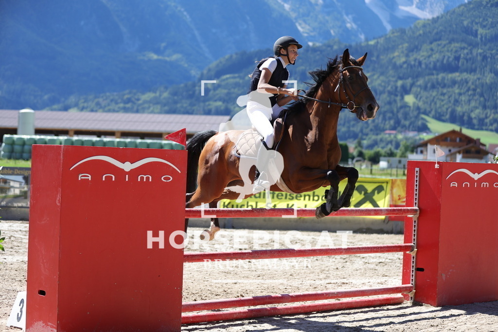 0P6A6347 | Willkommen bei Brunnmayr - Design & Fotografie – Ihrem Spezialisten für Reitturniere und Pferdeveranstaltungen in Oberösterreich, Salzburg und Bayern! Seit über 17 Jahren sind wir leidenschaftlich dabei.