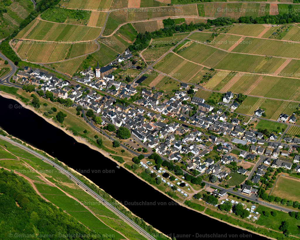 Bruttig-Fankel-3114319 | Bruttig-Fankel