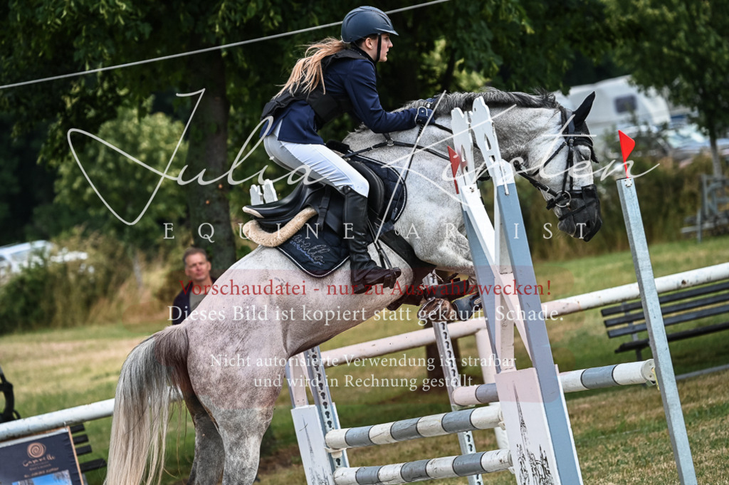 DSC_8142 | Pferde- und Turnierfotografie in Westsachsen. Pferdeportraits, Auftragszeichnungen und intuitive Kunst.