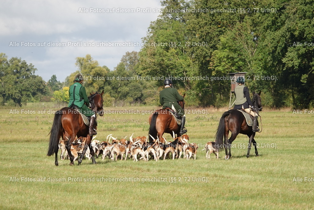 BMF08883 | krollfotografie - Realisiert mit Pictrs.com