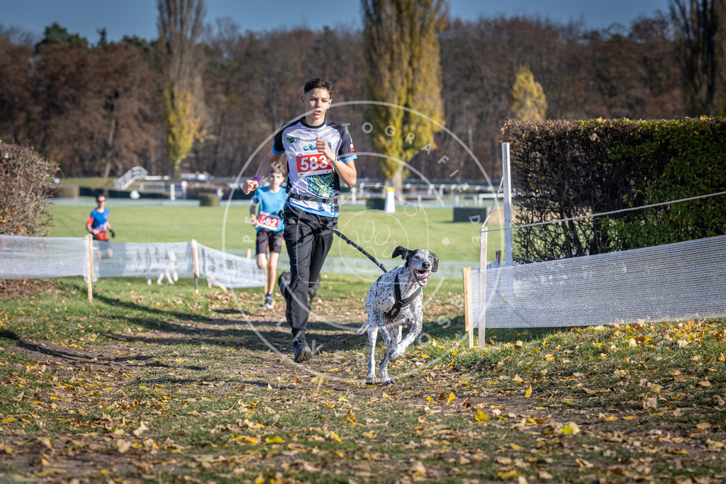 CaniXpix_DV3A9067 | Hundefotografie, Tierfotograf, Pfotenfotografie, Fotoshooting Hund, Hunde Portrait, Hundesport, Hundeportraits, Heideshooting, Hunde, Sportfotograf, Hundefotograf, Turnierhundsport, THS,  - Realisiert mit Pictrs.com