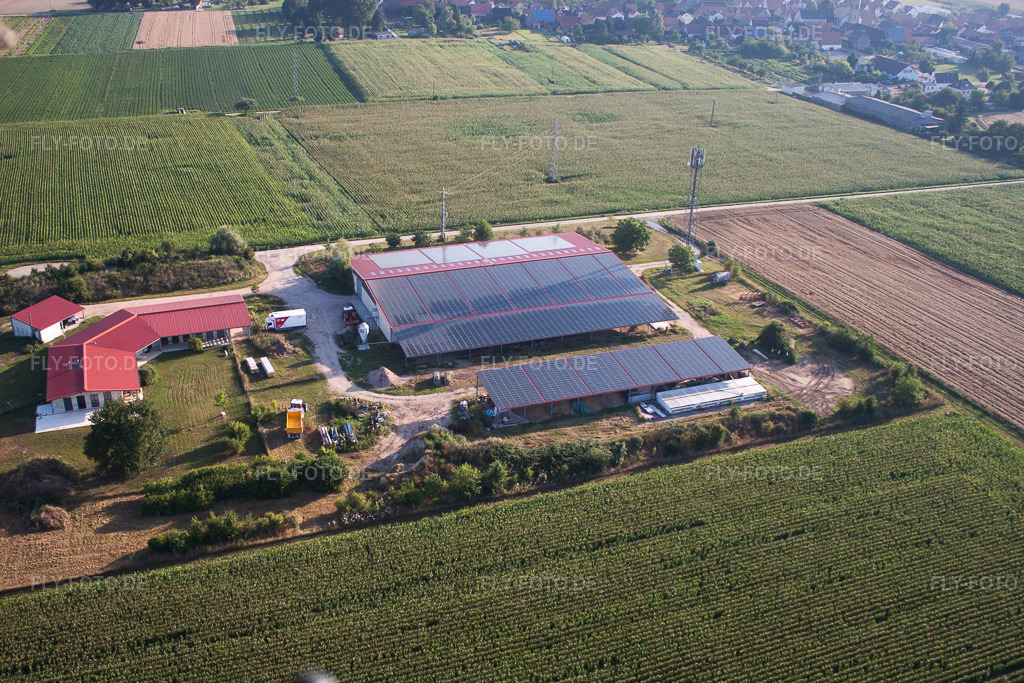 Luftbild: Hühnerhof Aussiedlerhof in Erlenbach bei Kandel im Bundesland Rheinland-Pfalz in Deutschland. Foto: IMG_70262.jpg vom 19.07.2014 durch Werner Riehm/FLY-FOTO.de