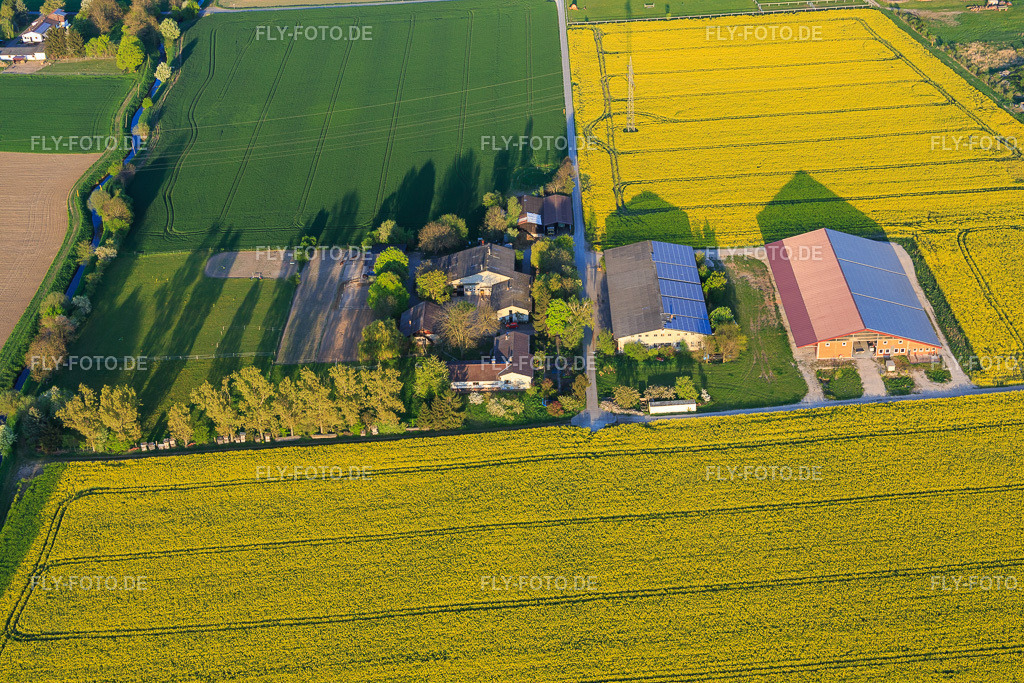 Ulmenhof | Luftbild: Ulmenhof in Stockstadt am Rhein im Bundesland Hessen in Deutschland. Foto: IMG_077713.jpg vom 23.04.2015 durch Werner Riehm/FLY-FOTO.de - Realisiert mit Pictrs.com