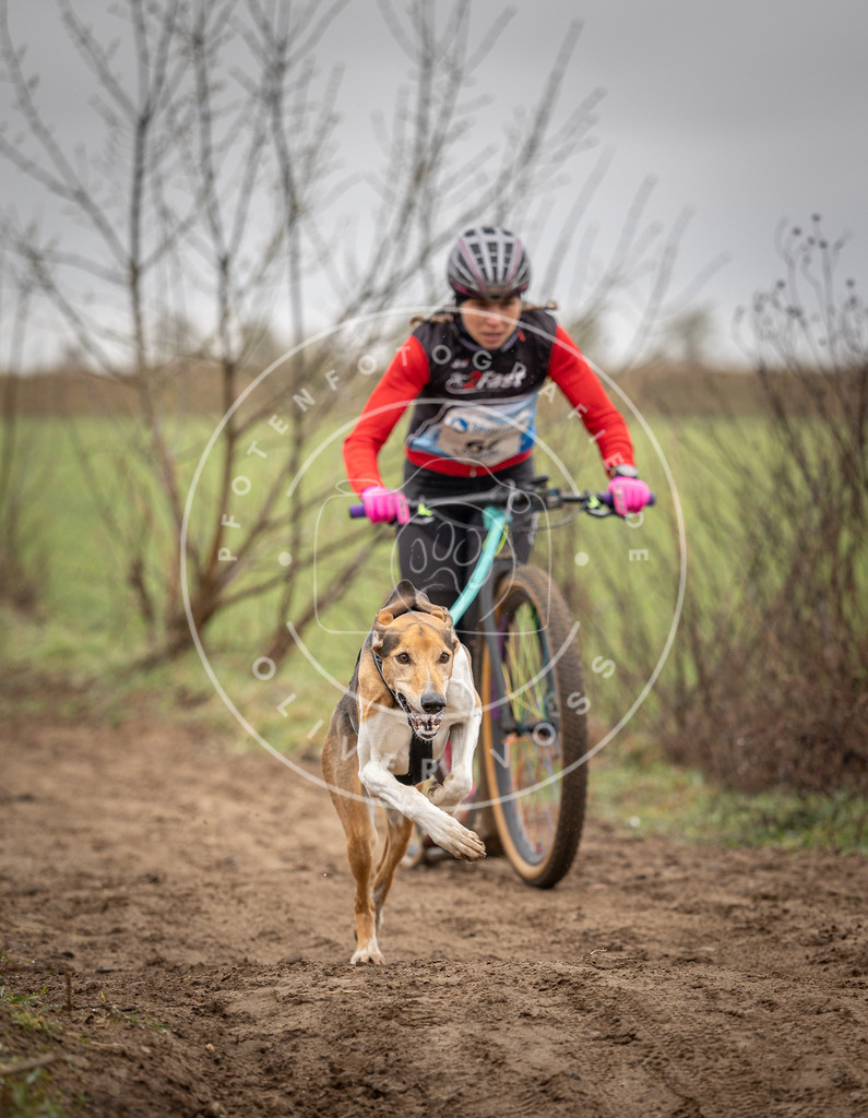 DV3A9150 | Hundefotografie, Tierfotograf, Pfotenfotografie, Fotoshooting Hund, Hunde Portrait, Hundesport, Hundeportraits, Heideshooting, Hunde, Sportfotograf, Hundefotograf, Turnierhundsport, THS,  - Realisiert mit Pictrs.com