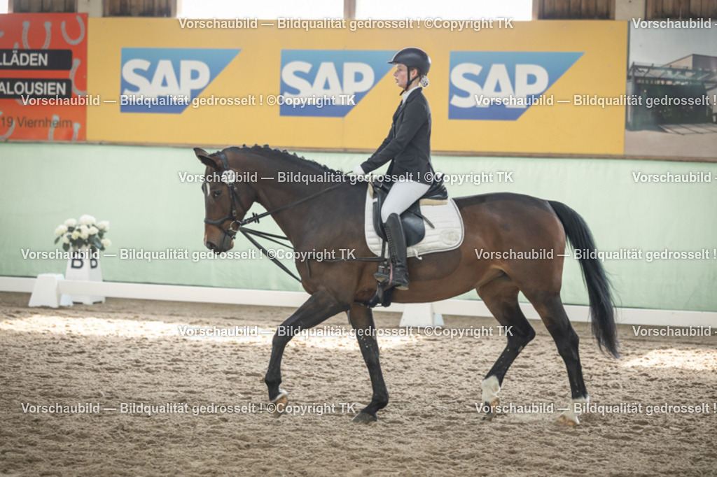 _D5A5453 | Emotionale Pferde- & People-Fotografie rund um Heidelberg, Leimen & Umgebung. Natürliche Fotos von Pferd, Mensch & Familie. Jetzt Termin sichern!