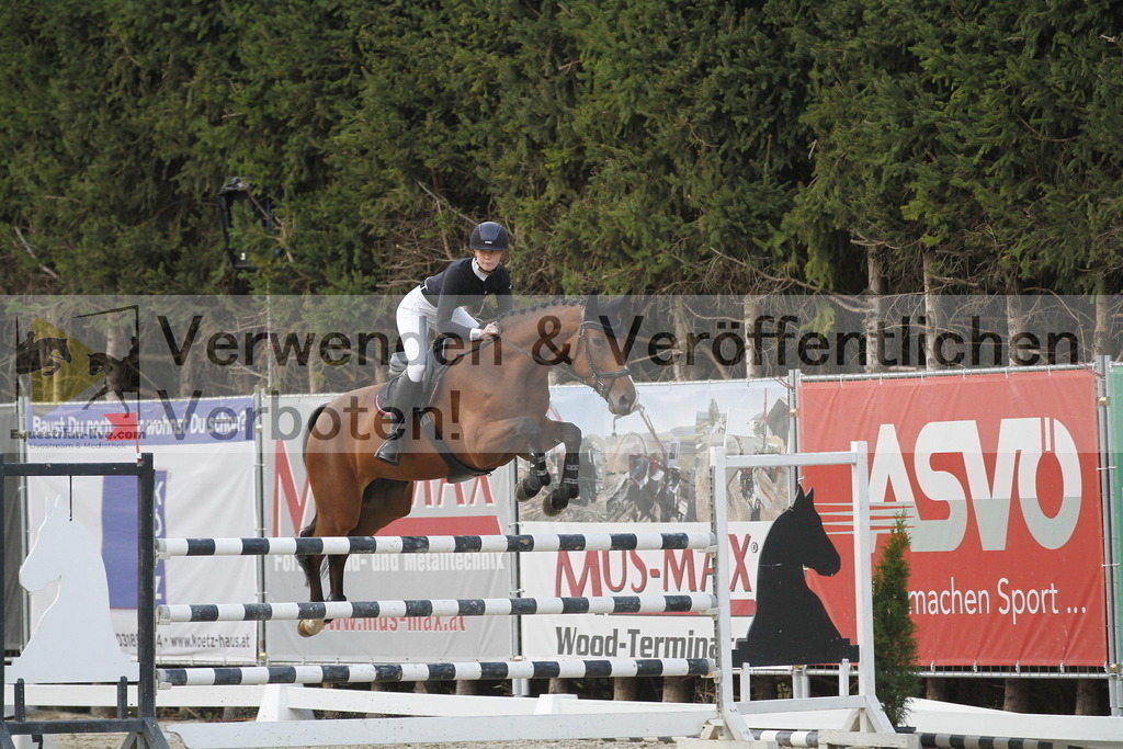 _MG_6683 | equestrian-live-com