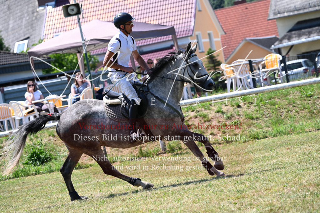 DSC_0649 | Pferde- und Turnierfotografie in Westsachsen. Pferdeportraits, Auftragszeichnungen und intuitive Kunst.