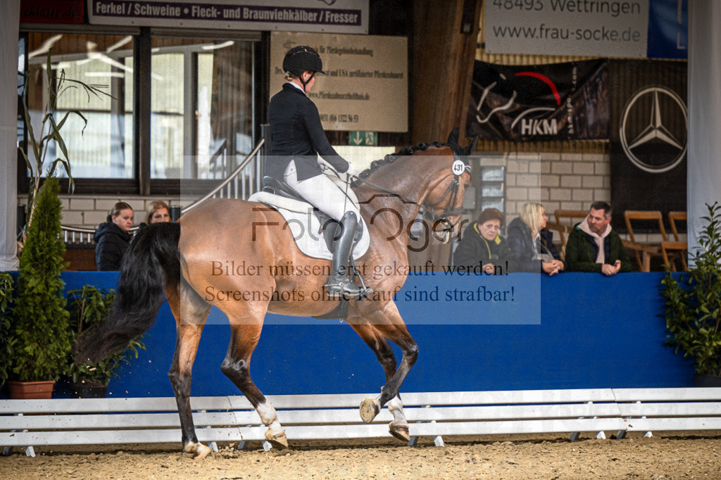 DOS_0383 | Entdecke hochwertige Reitturnierfotos von Foto Oger. Professionell, emotional und authentisch – jetzt Lieblingsmomente im Shop bestellen.Deutschlandweite Turnierfotografie. - Realisiert mit Pictrs.com