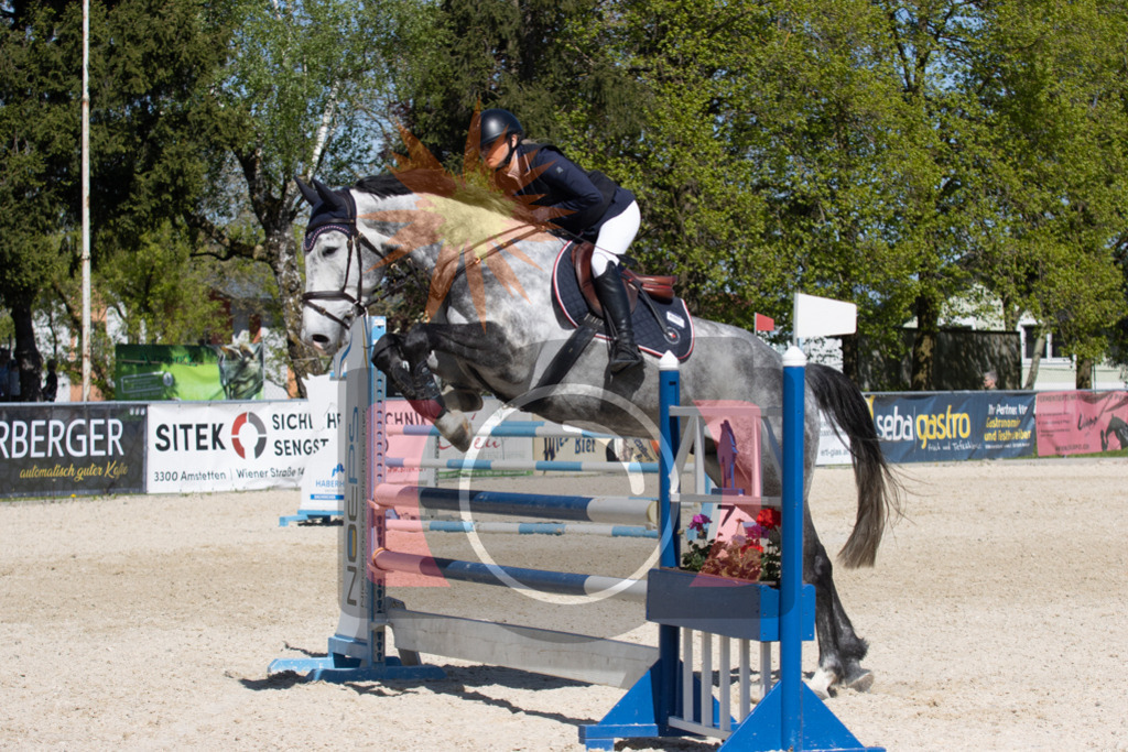 IMG_3381 | kraqueboom - Realisiert mit Pictrs.com
