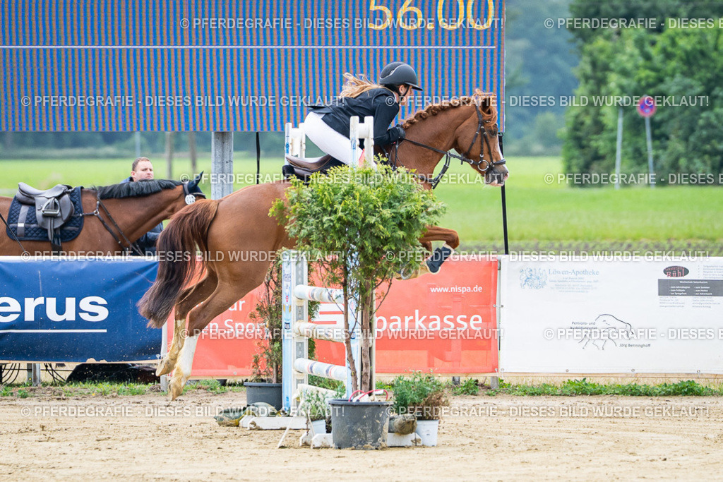 DSC03214 | Pferdegrafie