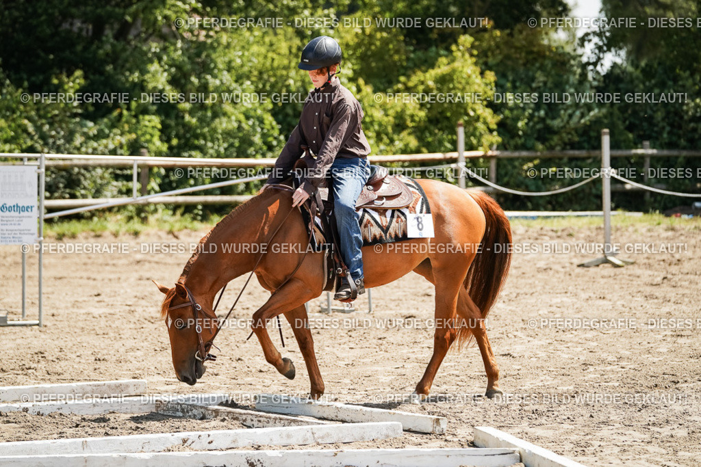 DSC07538 | Pferdegrafie