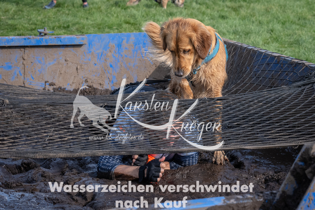 1609_ZZ91792 | kk-dogfotos