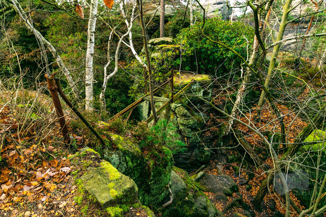 _DSC6098 | Shop für Prints Landschaftsfotografie Sächsische Schweiz Naturfotografie in Thüringen Fotos vom Findlingspark Nochten Kloster Sankt Marienstern Bilder Festung Königstein PanoramaRhododendronpark Kromlau FotogalerSchleswig-Holstein Küstenlandschaften