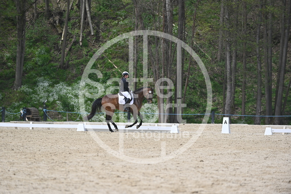 DSC_3281 | sattelsport - Realisiert mit Pictrs.com