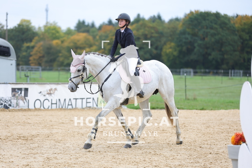 0P6A1302 | Willkommen bei Brunnmayr - Design & Fotografie – Ihrem Spezialisten für Reitturniere und Pferdeveranstaltungen in Oberösterreich, Salzburg und Bayern! Seit über 17 Jahren sind wir leidenschaftlich dabei.