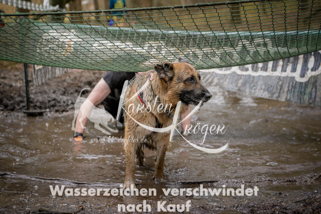 0916_ZZ97018 | kk-dogfotos
