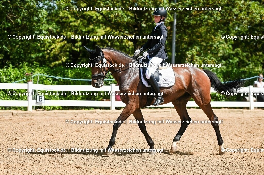 20230715_02_Dressurreiterprüfung Kl.L_0089 | equistock