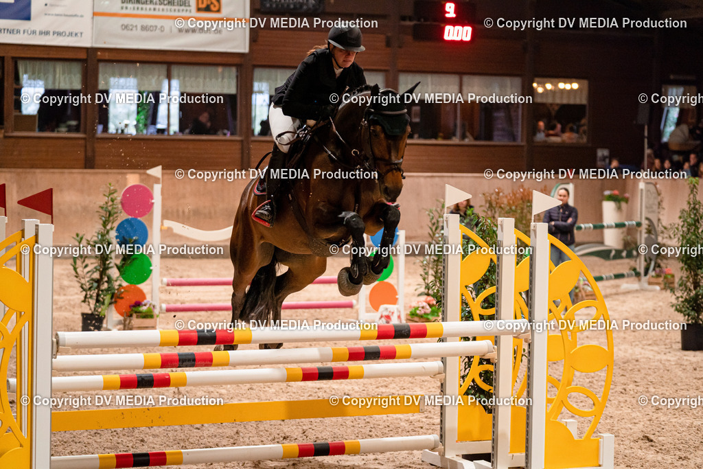 Springen Tag 2-625 | dv-media-shop - Realisiert mit Pictrs.com