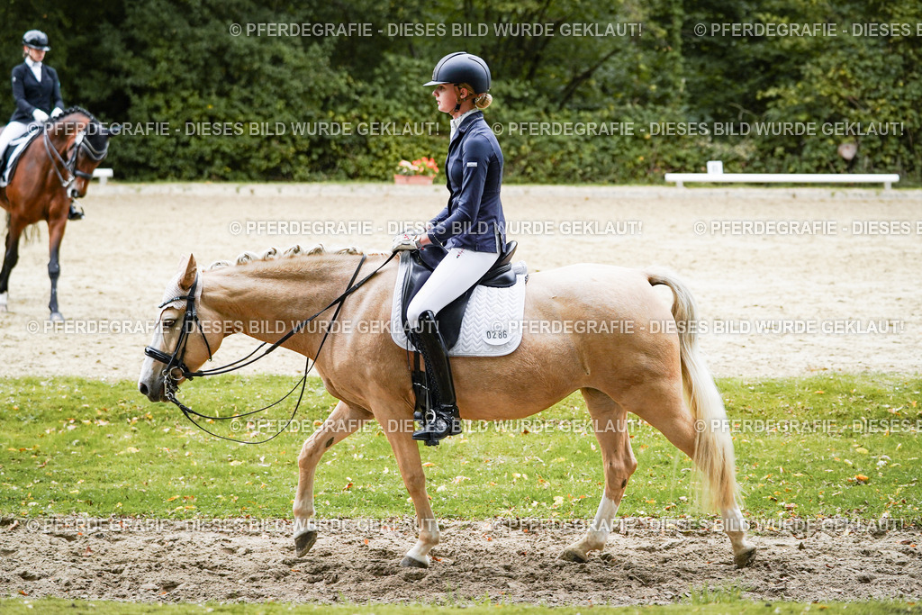 DSC07701 | Pferdegrafie