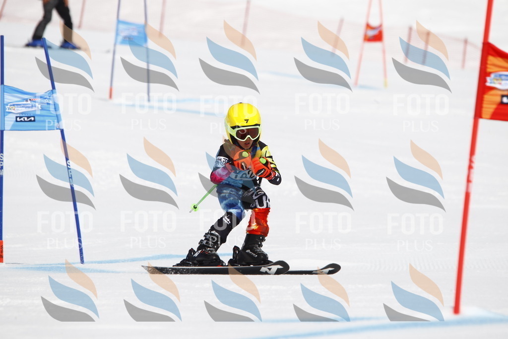 _U3G4785 | holidayphoto