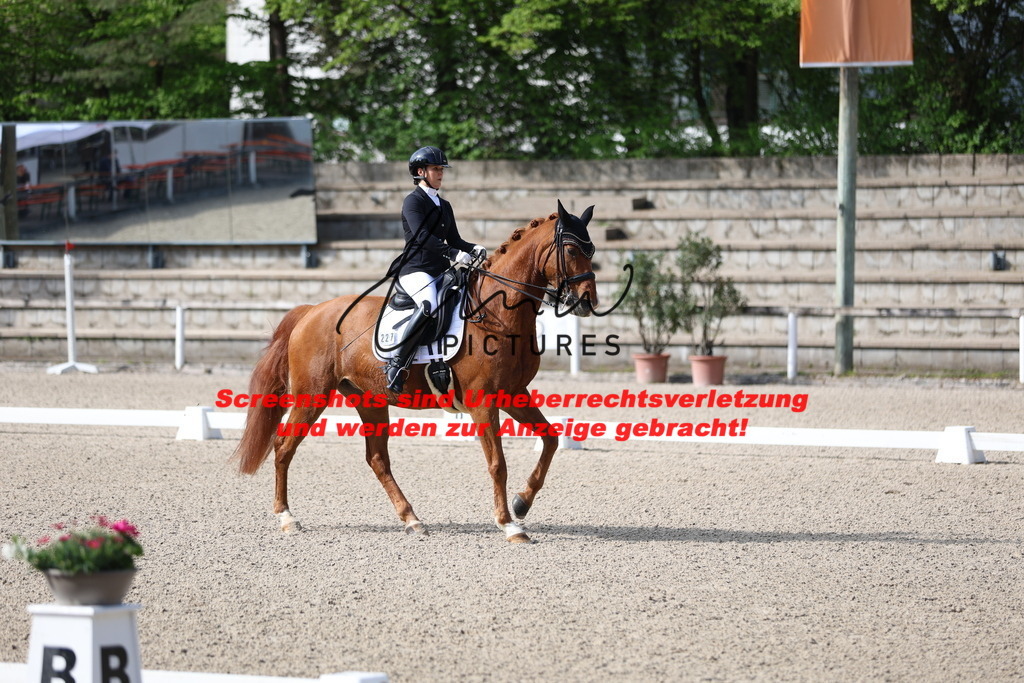 A40A3619 | lmwpictures - Realisiert mit Pictrs.com