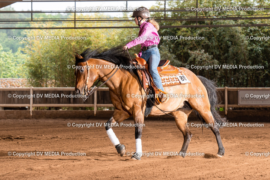 Erbach Tag 2-849 | dv-media-shop - Realisiert mit Pictrs.com