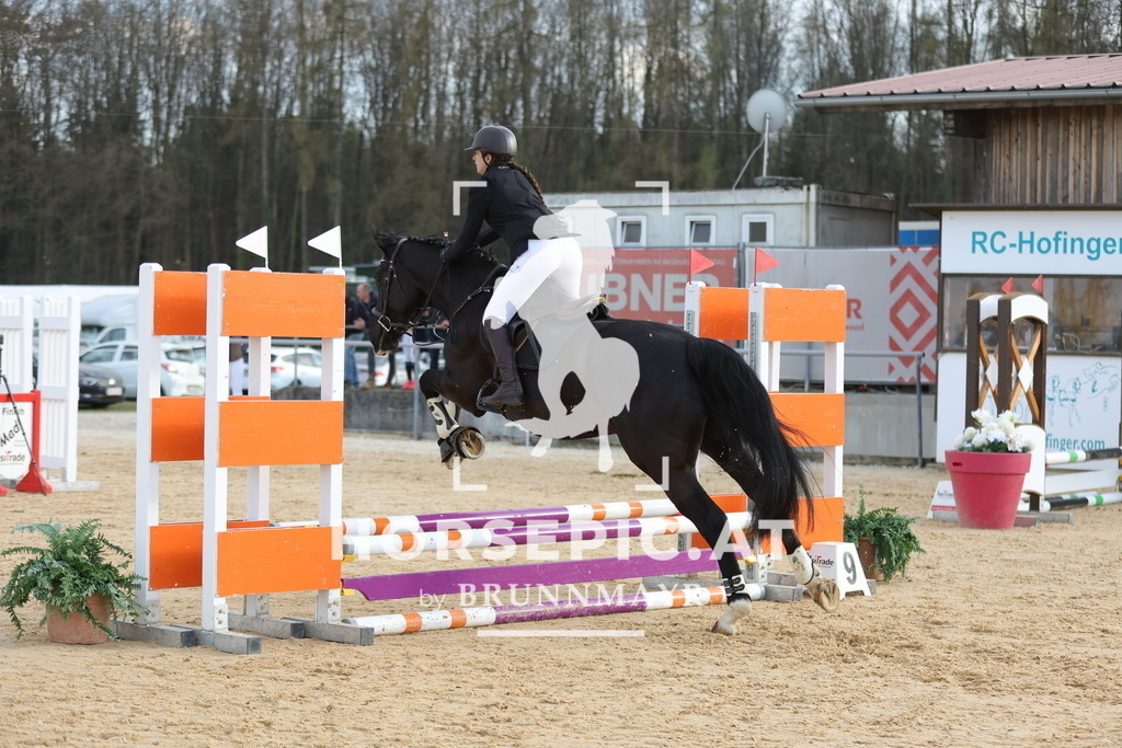 0P6A8887 | Willkommen bei Brunnmayr - Design & Fotografie – Ihrem Spezialisten für Reitturniere und Pferdeveranstaltungen in Oberösterreich, Salzburg und Bayern! Seit über 17 Jahren sind wir leidenschaftlich dabei.
