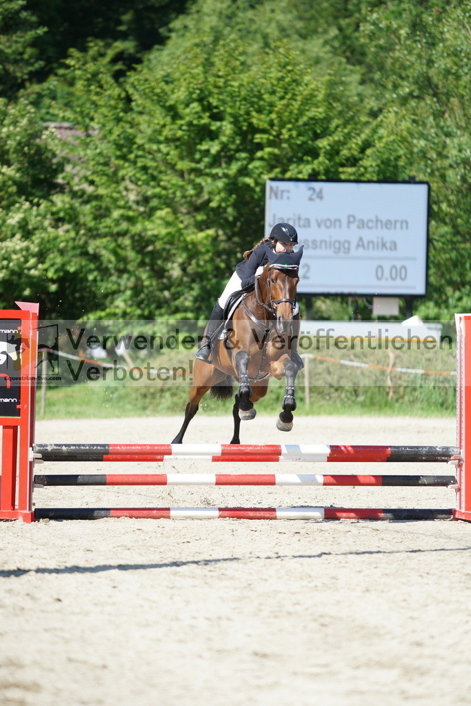 DSC06179 | equestrian-live-com