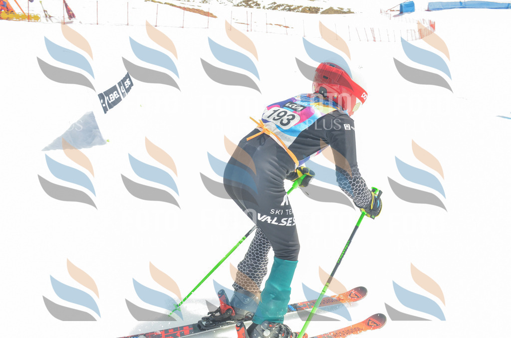 _ELE6824 | holidayphoto