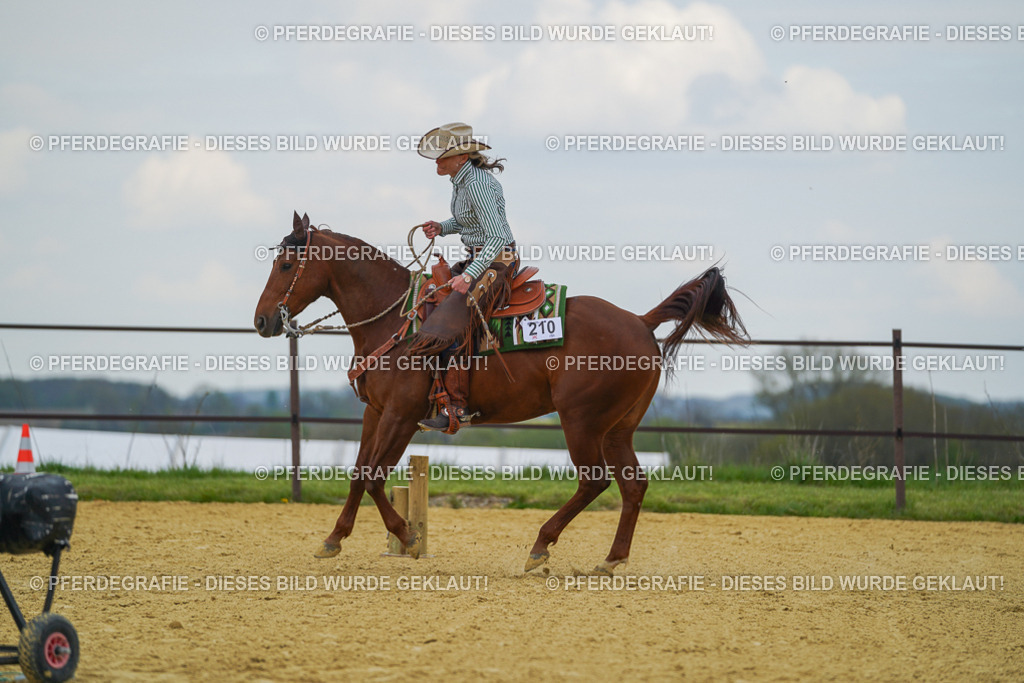 DSC06932 | Pferdegrafie