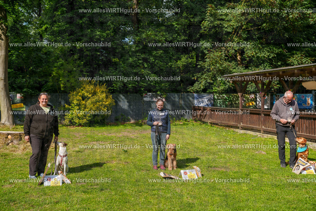 @allesWIRTHgut_Tierfotografie - www.allesWIRTHgut.de - 7R502227 | Professionelle Tierfotografie in Mönchengladbach von Daniel Wirth (allesWIRTHgut). Liebevolle & natürliche Bilder von Hunden & Katzen für unvergessliche Erinnerungen.