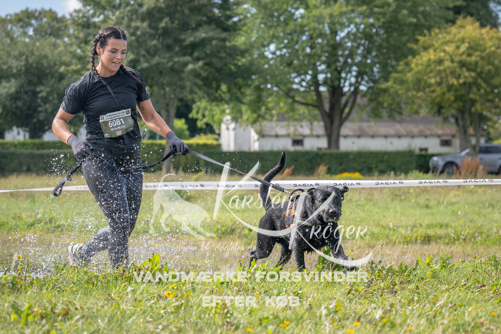 1154_ZZ90368 | kk-dogfotos