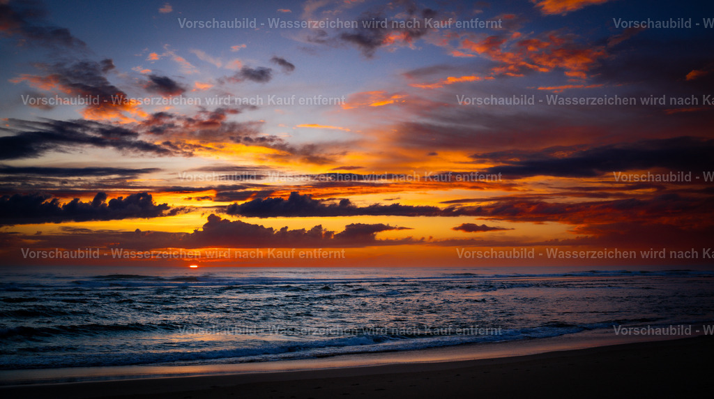 DSC01549 | marcuslinek