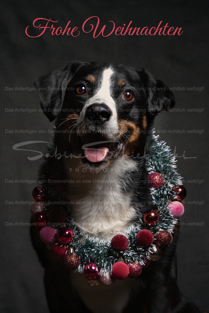 "Frohe Weihnachten" wünscht Ebby | People- und Tierfotografie, Imageaufnahmen, Veranstaltungsfotografie und Wandbilder aus der Natur ★ Made in Germany ✔️ Druck + Downloads ✔️ Naturfotografie in Top Qualität ★ schneller Versand, weltweite Lieferung! - Realisiert mit Pictrs.com