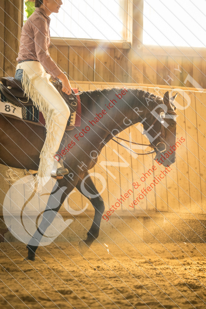 IMG_1833 | Sport-, Event- und Tierfotos in Profiqualität. Einfach auswählen, bestellen und herunterladen. Dein Moment – perfekt festgehalten.