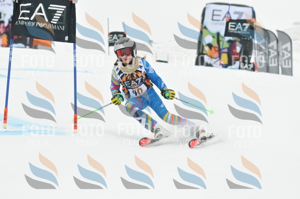 DSC_7636 | holidayphoto