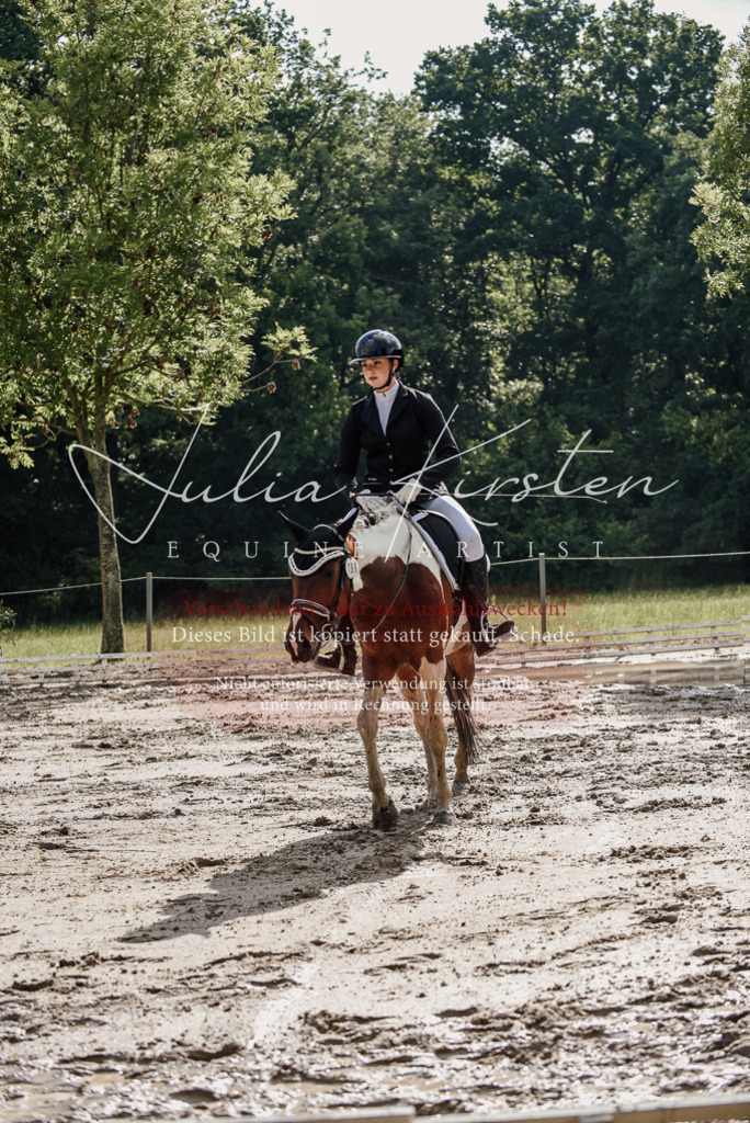 DSC_8832 | Pferde- und Turnierfotografie in Westsachsen. Pferdeportraits, Auftragszeichnungen und intuitive Kunst.