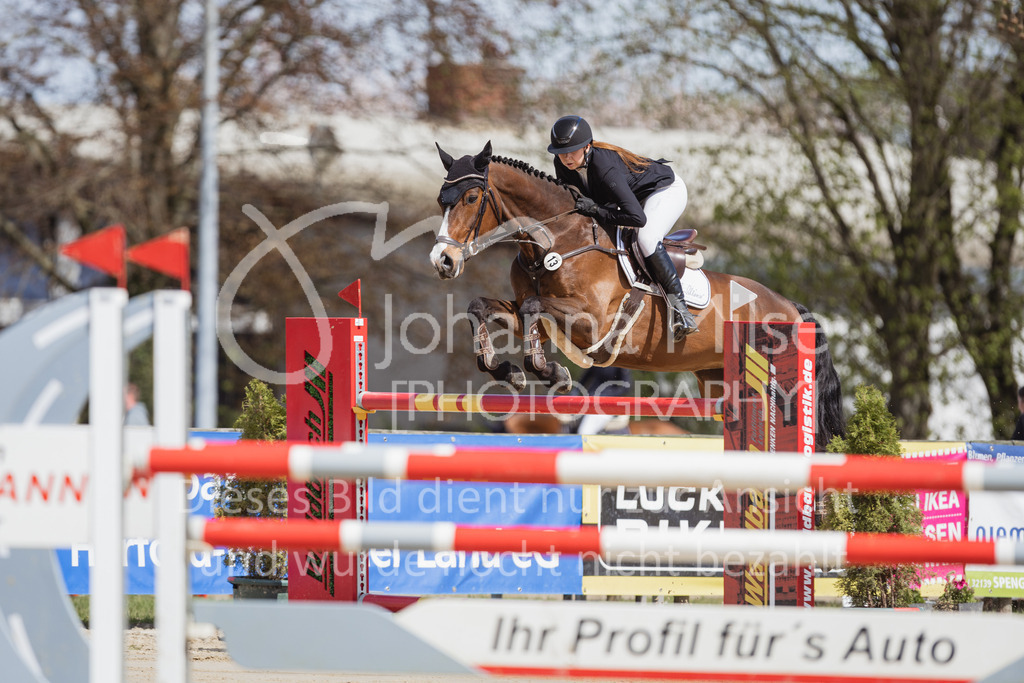 230501_SpengeW_M2St-115 | Deine schönsten Turniermomente als professionelle Fotos! Entdecke hochwertige Pferdesport-Fotografie im Online-Shop. Jetzt Fotos finden & bestellen!