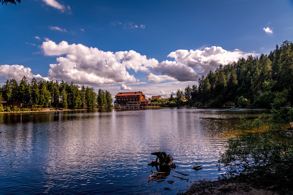 grinde_010926-60 | <div id="allefotografen-seal-verified-green"></div><script src="https://www.allefotografen.de/956728/seal-verified-green/seal.js" async="async"></script> - Realisiert mit Pictrs.com