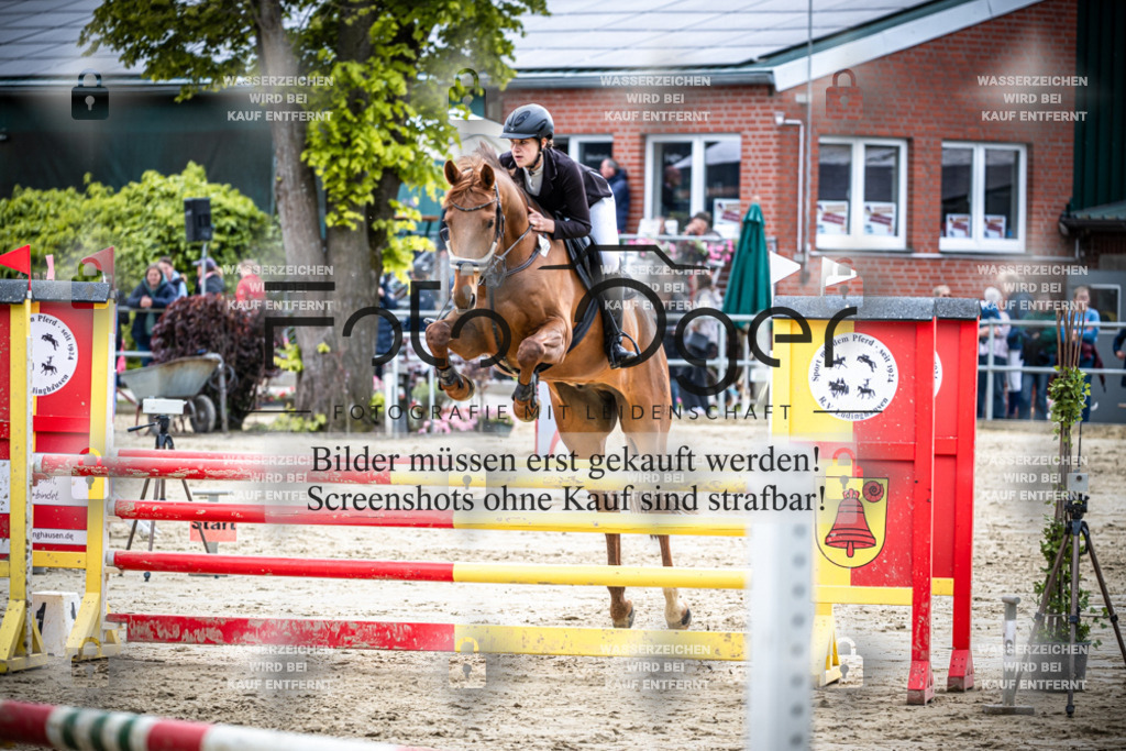 DOS_2424 | Reitturnier Lüdinghausen - Realisiert mit Pictrs.com