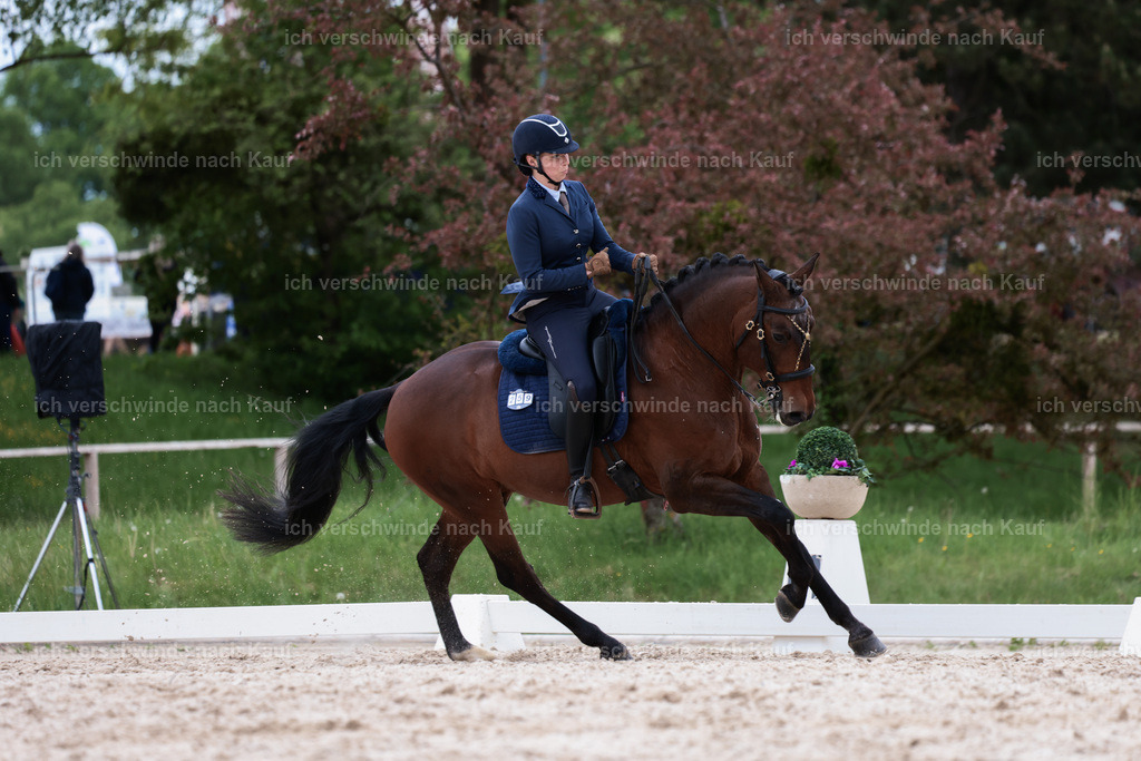 PI26_DR_259_StoibphotographyC2_L7917.jpg | working equitationturnier fotograf videograf stoibphotography marixx film working equitation deutschland reitsport turnierfotografie eventfotografie equestrian events