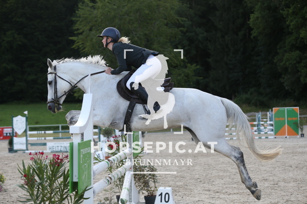 DL2Q8267 | Willkommen bei Brunnmayr - Design & Fotografie – Ihrem Spezialisten für Reitturniere und Pferdeveranstaltungen in Oberösterreich, Salzburg und Bayern! Seit über 17 Jahren sind wir leidenschaftlich dabei.