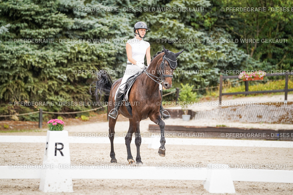 DSC06633 | Pferdegrafie