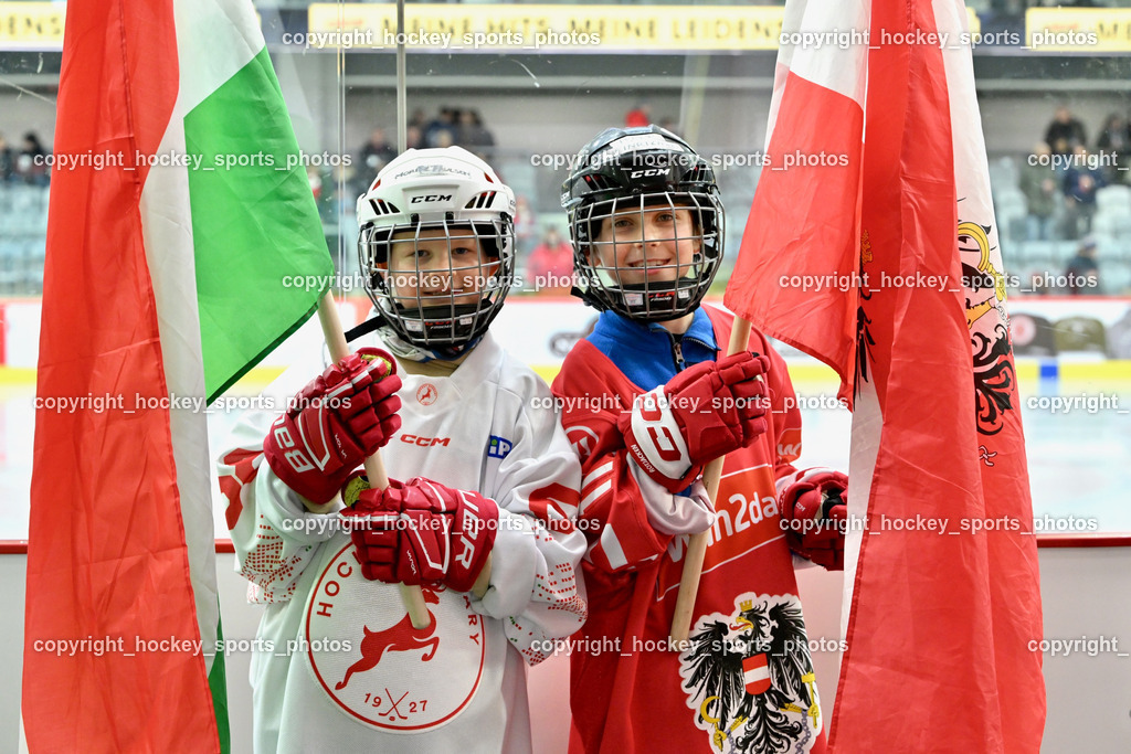 Österreich vs. Ungarn 14.12.2023 | Österreich vs. Ungarn 14.12.2023, Österreich vs. Ungarn  am 14.12.2023 in Klagenfurt (Heidi Horten Arena), Austria, (Photo by Bernd Stefan)