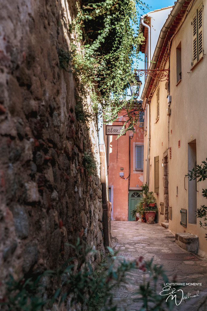 Ramatuelle | Herzlich willkommen auf meiner Seite! Ich bin Elke Wallnisch, Deine Fotografin für lichtstarke Momente. Der Name steht für alles, was mich mit der Fotografie verbindet: Das Licht und seine machtvolle Wirkung auf eine Situation oder unsere Stimmung - Realisiert mit Pictrs.com