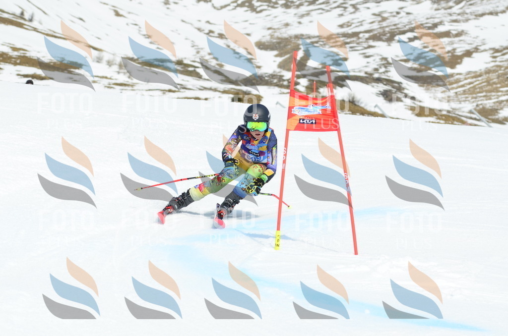 _ELE2307 | holidayphoto