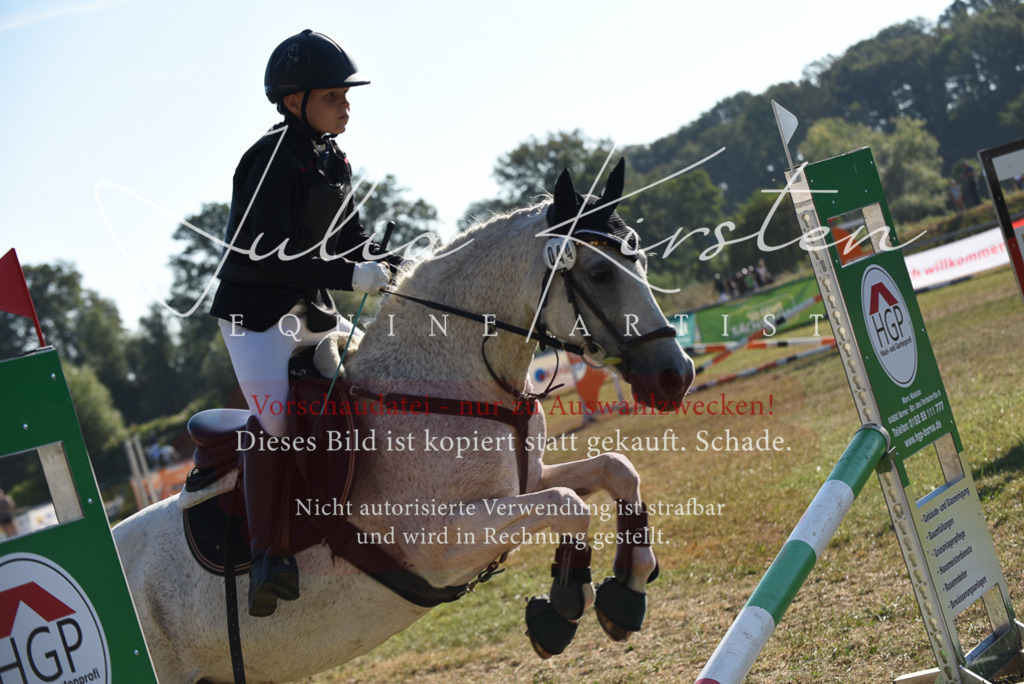 DSC_5675 | Pferde- und Turnierfotografie in Westsachsen. Pferdeportraits, Auftragszeichnungen und intuitive Kunst.